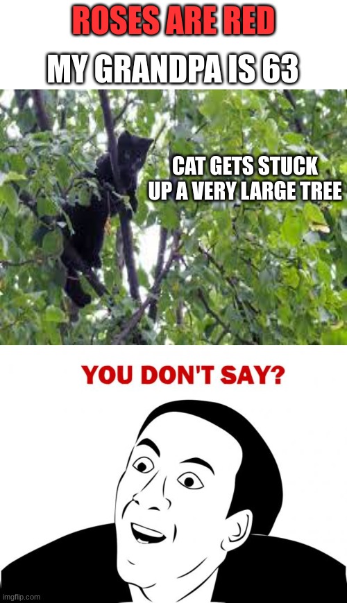 Roses make very weird rhymes | MY GRANDPA IS 63; ROSES ARE RED; CAT GETS STUCK UP A VERY LARGE TREE | image tagged in memes,blank transparent square,you don't say | made w/ Imgflip meme maker