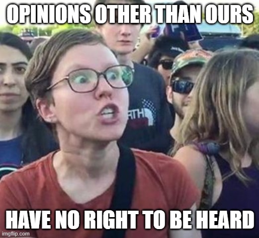 Trigger a Leftist | OPINIONS OTHER THAN OURS HAVE NO RIGHT TO BE HEARD | image tagged in trigger a leftist | made w/ Imgflip meme maker