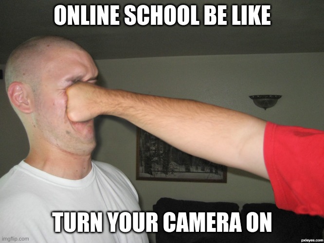 Online School Be Like: |  ONLINE SCHOOL BE LIKE; TURN YOUR CAMERA ON | image tagged in face punch | made w/ Imgflip meme maker