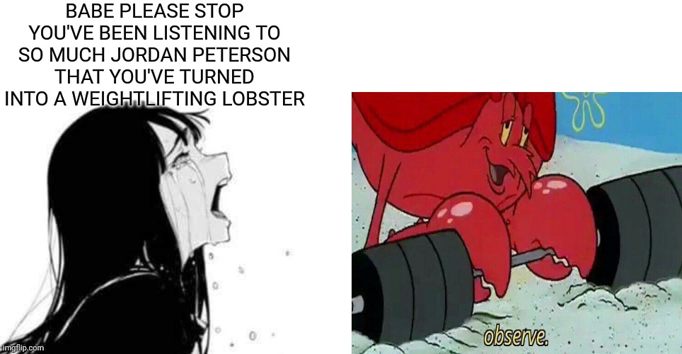 babe please | BABE PLEASE STOP YOU'VE BEEN LISTENING TO SO MUCH JORDAN PETERSON THAT YOU'VE TURNED INTO A WEIGHTLIFTING LOBSTER | image tagged in babe please,jordan peterson,lobster,observe,memes | made w/ Imgflip meme maker