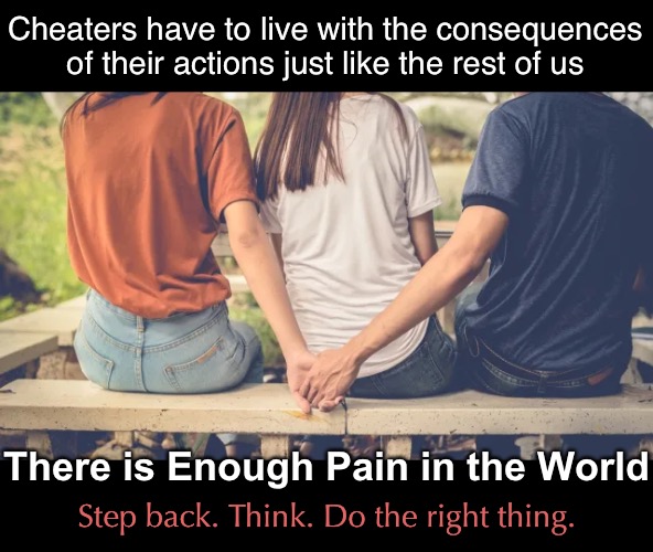 Cheaters have to live with the consequences of their actions just like the rest of us There is Enough Pain in the World Step back. Think. Do | made w/ Imgflip meme maker