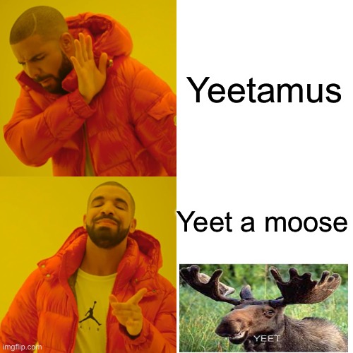 Yeet da moose | Yeetamus; Yeet a moose | image tagged in memes,drake hotline bling | made w/ Imgflip meme maker