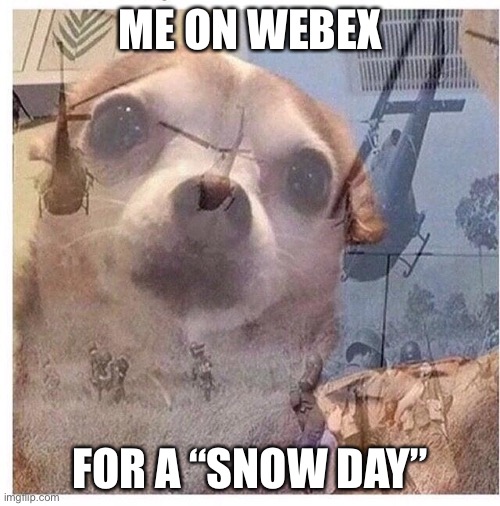 ME ON WEBEX; FOR A “SNOW DAY” | made w/ Imgflip meme maker