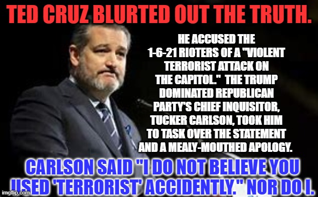 C'mon Ted.  You're at a political dead end.  Stand up for yourself. | TED CRUZ BLURTED OUT THE TRUTH. HE ACCUSED THE 1-6-21 RIOTERS OF A "VIOLENT TERRORIST ATTACK ON THE CAPITOL."  THE TRUMP DOMINATED REPUBLICAN PARTY'S CHIEF INQUISITOR, TUCKER CARLSON, TOOK HIM TO TASK OVER THE STATEMENT AND A MEALY-MOUTHED APOLOGY. CARLSON SAID "I DO NOT BELIEVE YOU USED 'TERRORIST' ACCIDENTLY." NOR DO I. | image tagged in politics | made w/ Imgflip meme maker