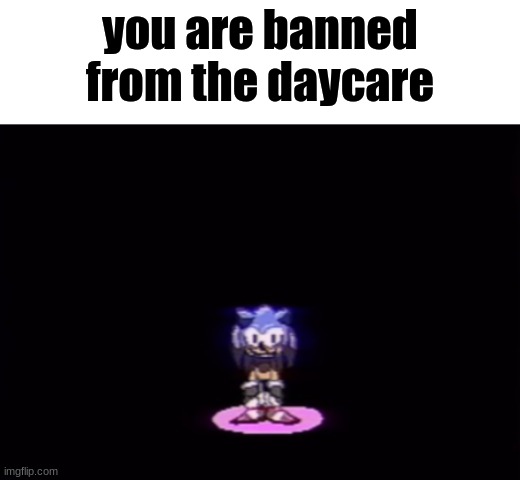 needlemouse stare | you are banned from the daycare | image tagged in needlemouse stare | made w/ Imgflip meme maker