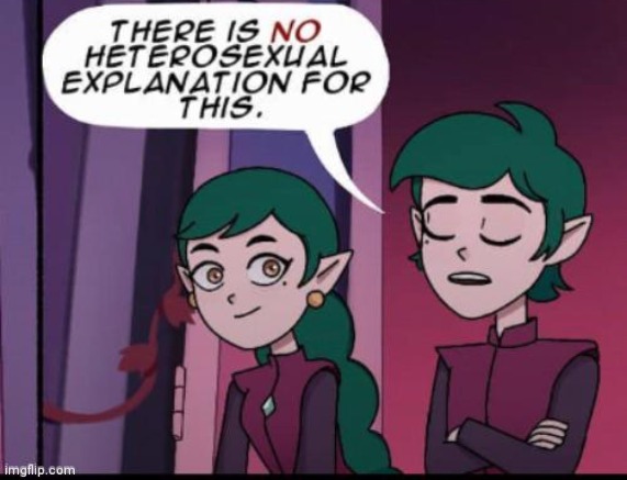 Can someone make a meme out of it please | image tagged in there is no heterosexual | made w/ Imgflip meme maker