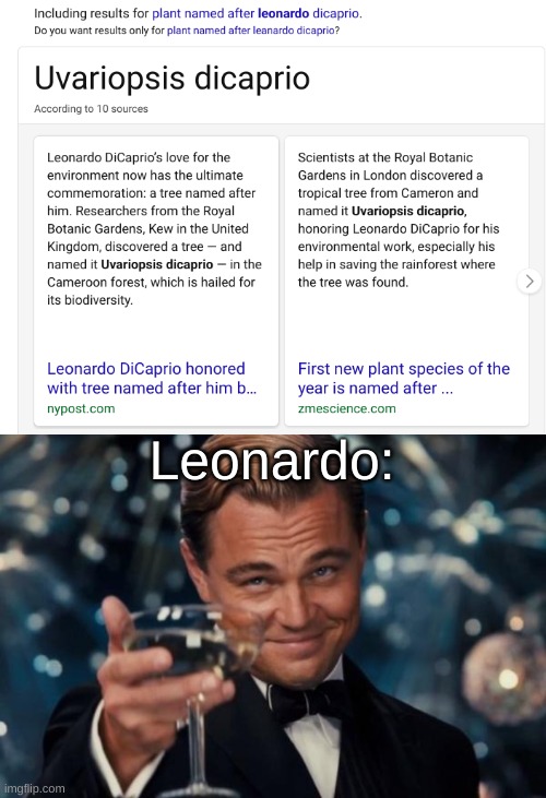 insert creative title | Leonardo: | image tagged in memes,leonardo dicaprio cheers | made w/ Imgflip meme maker