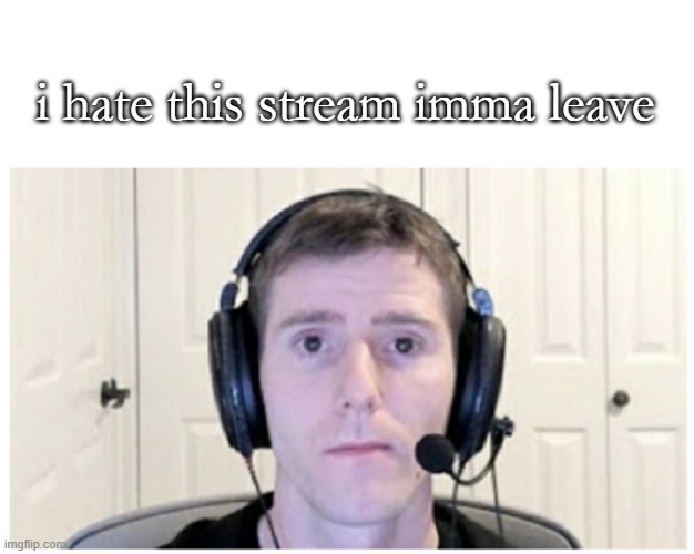 Sad Linus | i hate this stream imma leave | image tagged in sad linus | made w/ Imgflip meme maker