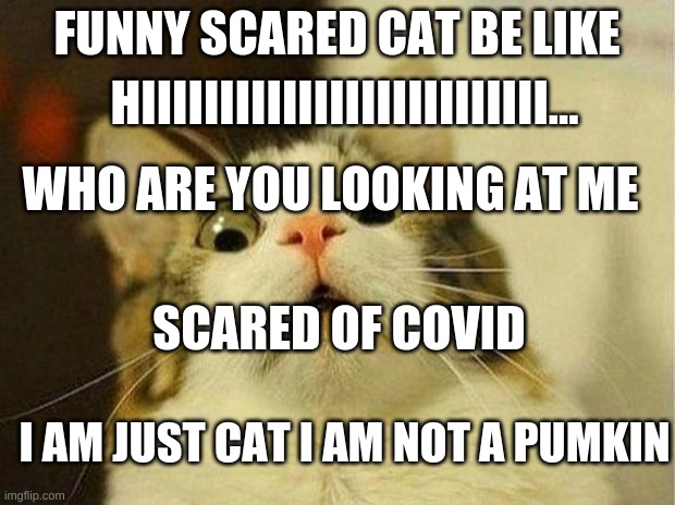 Scared Cat Meme | FUNNY SCARED CAT BE LIKE; HIIIIIIIIIIIIIIIIIIIIIIIIII... WHO ARE YOU LOOKING AT ME; SCARED OF COVID; I AM JUST CAT I AM NOT A PUMKIN | image tagged in memes,scared cat | made w/ Imgflip meme maker