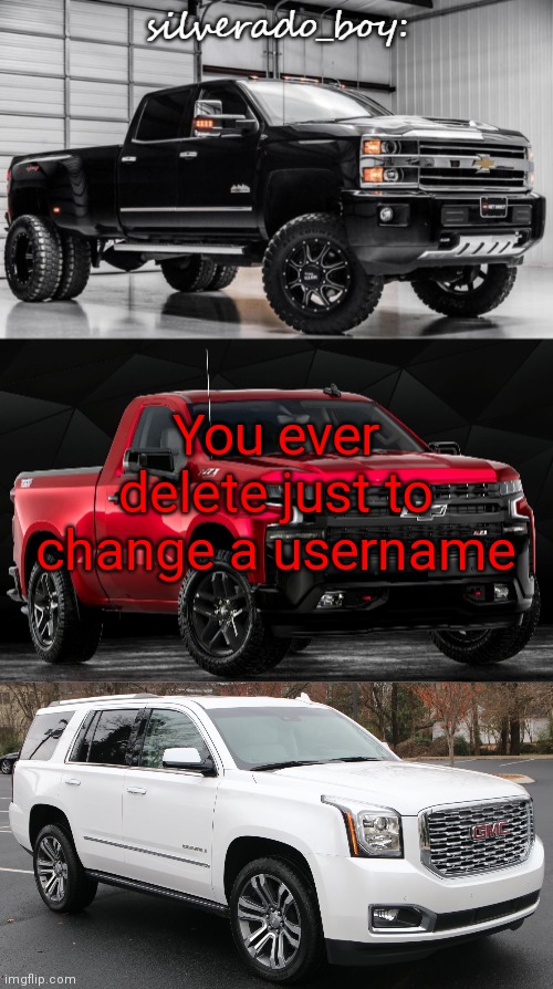 Definitely a stupid idea, ik things so stupid it makes this look smart | You ever delete just to change a username | image tagged in another temp by silverado_boy cry about it | made w/ Imgflip meme maker