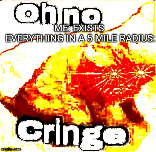 Oh no CrRiNgE | ME: EXISTS 
EVERYTHING IN A 5 MILE RADIUS: | image tagged in oh no super cringe | made w/ Imgflip meme maker