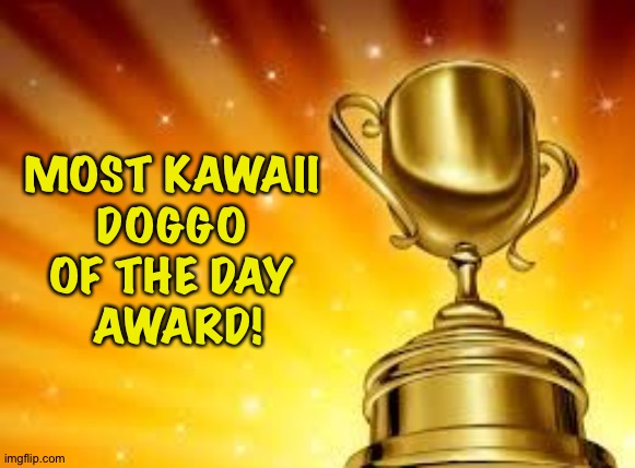 Award | MOST KAWAII 
DOGGO 
OF THE DAY 
AWARD! | image tagged in award | made w/ Imgflip meme maker