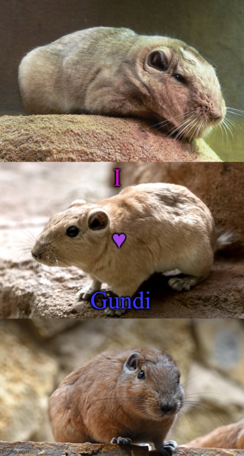 This ain’t lgbt but I felt like posting it to make people Happy :) | I; ♥; Gundi | made w/ Imgflip meme maker
