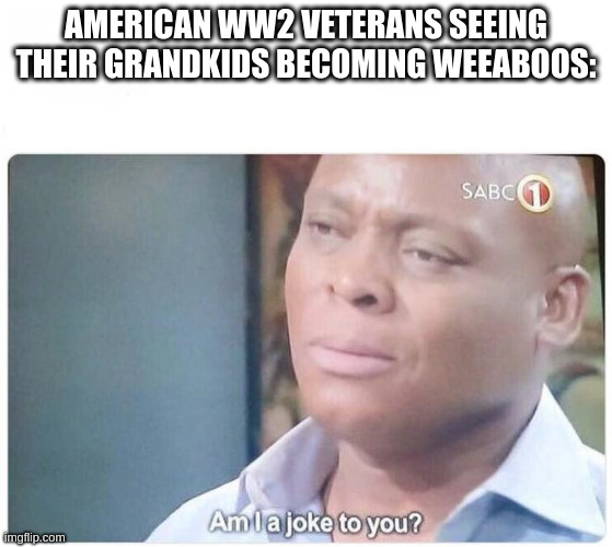 Am I a joke to you | AMERICAN WW2 VETERANS SEEING THEIR GRANDKIDS BECOMING WEEABOOS: | image tagged in am i a joke to you | made w/ Imgflip meme maker