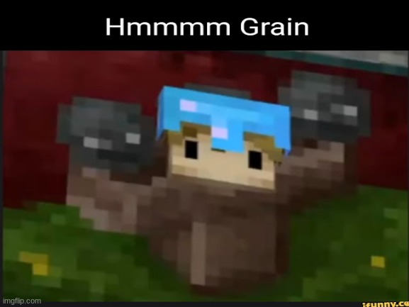 Hmmmm Grian.... | image tagged in memes,hermitcraft,grian,minecraft | made w/ Imgflip meme maker