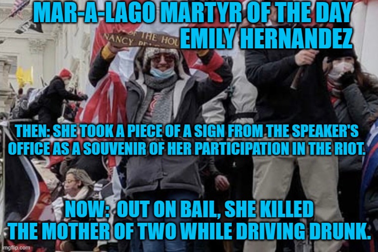 R.I.P. Victoria Wilson | MAR-A-LAGO MARTYR OF THE DAY
                                 EMILY HERNANDEZ; THEN: SHE TOOK A PIECE OF A SIGN FROM THE SPEAKER'S OFFICE AS A SOUVENIR OF HER PARTICIPATION IN THE RIOT. NOW:  OUT ON BAIL, SHE KILLED THE MOTHER OF TWO WHILE DRIVING DRUNK. | image tagged in politics | made w/ Imgflip meme maker