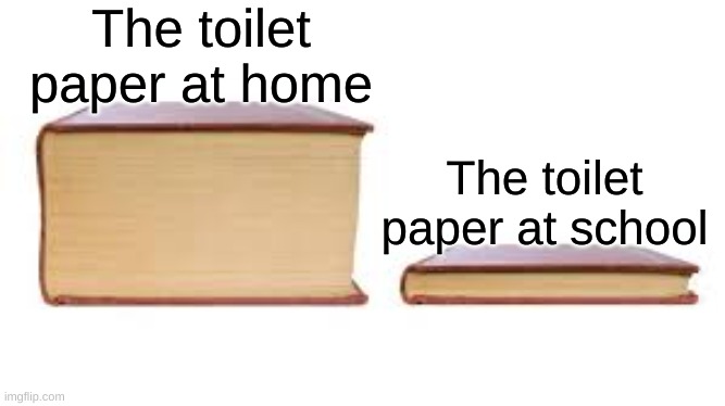 their literally buying air | The toilet paper at home; The toilet paper at school | image tagged in big book small book,memes,school,toilet paper,toilet humor,funny | made w/ Imgflip meme maker
