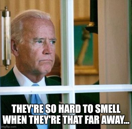 Sad Joe Biden | THEY'RE SO HARD TO SMELL WHEN THEY'RE THAT FAR AWAY... | image tagged in sad joe biden | made w/ Imgflip meme maker