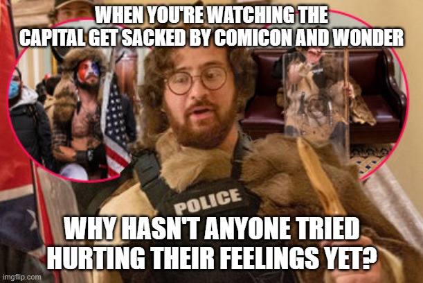  WHEN YOU'RE WATCHING THE CAPITAL GET SACKED BY COMICON AND WONDER; WHY HASN'T ANYONE TRIED HURTING THEIR FEELINGS YET? | image tagged in washington dc,funny | made w/ Imgflip meme maker