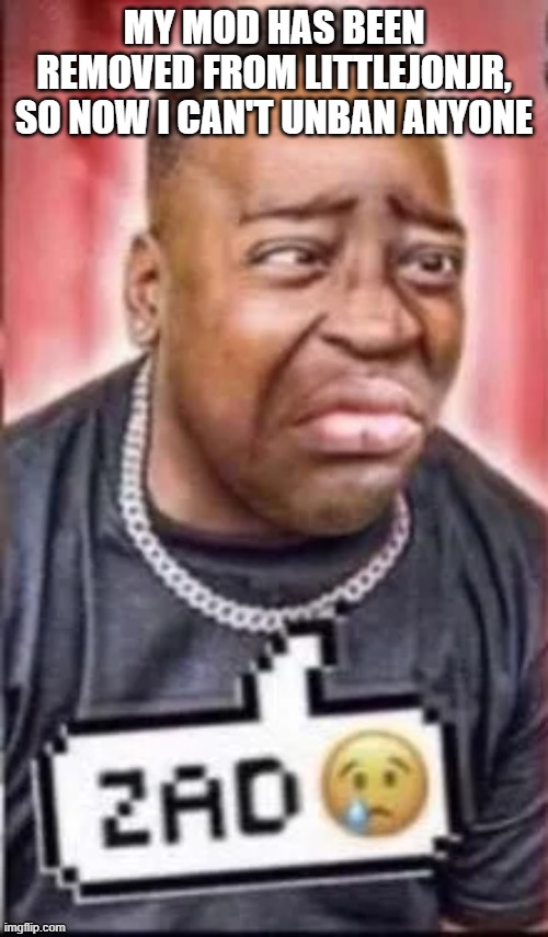 and has been replaced with danny | MY MOD HAS BEEN REMOVED FROM LITTLEJONJR, SO NOW I CAN'T UNBAN ANYONE | image tagged in zad | made w/ Imgflip meme maker