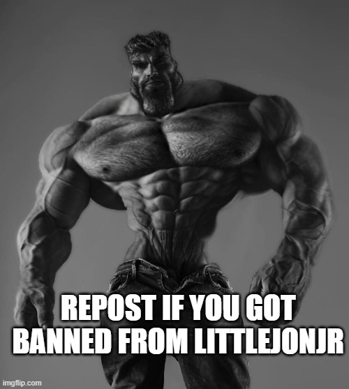 GigaChad | REPOST IF YOU GOT BANNED FROM LITTLEJONJR | image tagged in gigachad | made w/ Imgflip meme maker