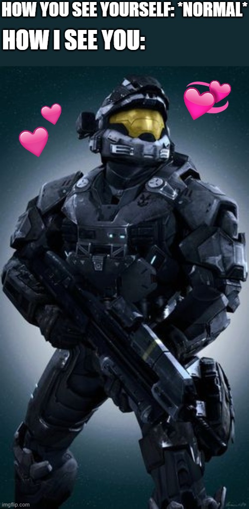 you are fricking epic my guy | HOW YOU SEE YOURSELF: *NORMAL*; HOW I SEE YOU: | image tagged in noble 6,wholesome,halo | made w/ Imgflip meme maker
