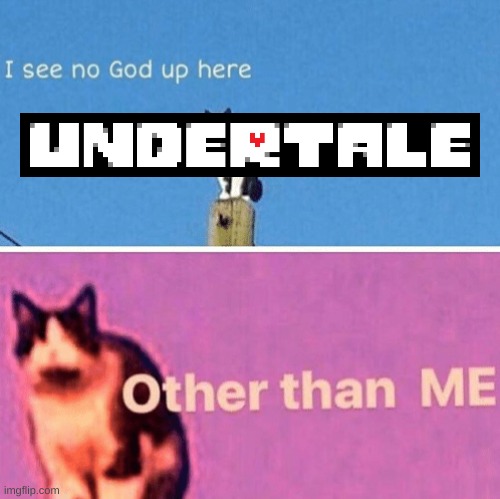 Hail pole cat | image tagged in hail pole cat | made w/ Imgflip meme maker