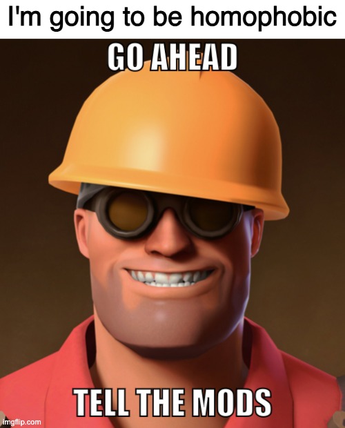 Go ahead, tell the mods. | I'm going to be homophobic | image tagged in go ahead tell the mods | made w/ Imgflip meme maker