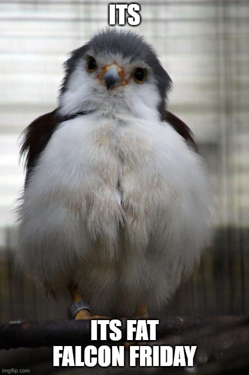 ITS; ITS FAT FALCON FRIDAY | made w/ Imgflip meme maker