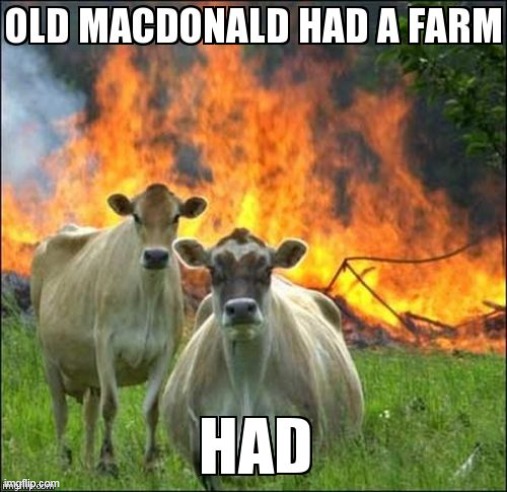 old macdonald HAD a farm. heyaheyahoooo | image tagged in old macdonald had a farm,funny,memes,stop reading the tags,cats,all lives matter | made w/ Imgflip meme maker