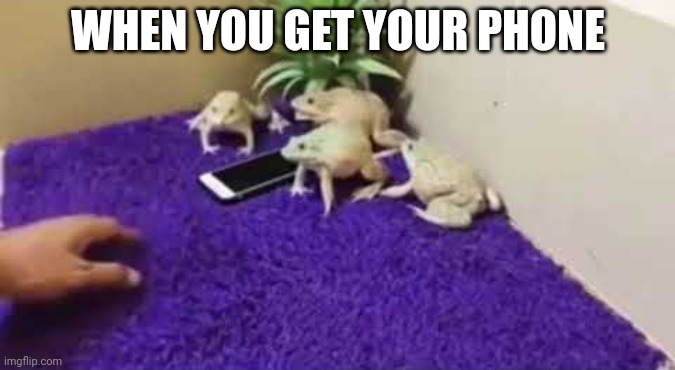 Frogs Phone Guard | WHEN YOU GET YOUR PHONE | image tagged in frogs phone guard | made w/ Imgflip meme maker