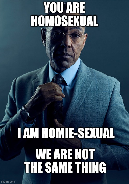 Gus Fring we are not the same | YOU ARE HOMOSEXUAL; I AM HOMIE-SEXUAL; WE ARE NOT THE SAME THING | image tagged in gus fring we are not the same | made w/ Imgflip meme maker