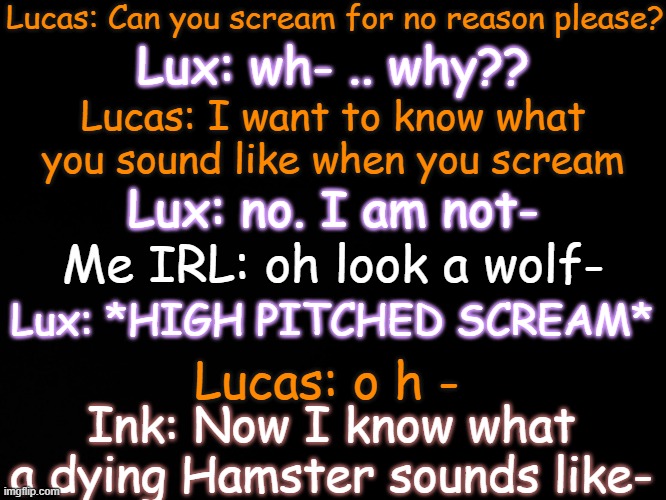 I lost a braincell doing this | Lucas: Can you scream for no reason please? Lux: wh- .. why?? Lucas: I want to know what you sound like when you scream; Lux: no. I am not-; Me IRL: oh look a wolf-; Lux: *HIGH PITCHED SCREAM*; Lucas: o h -; Ink: Now I know what a dying Hamster sounds like- | image tagged in blck | made w/ Imgflip meme maker