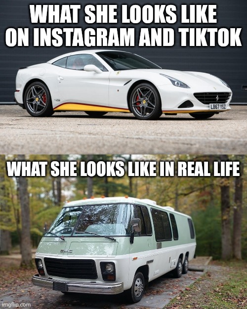 Just for fun | WHAT SHE LOOKS LIKE ON INSTAGRAM AND TIKTOK; WHAT SHE LOOKS LIKE IN REAL LIFE | image tagged in girls,females | made w/ Imgflip meme maker