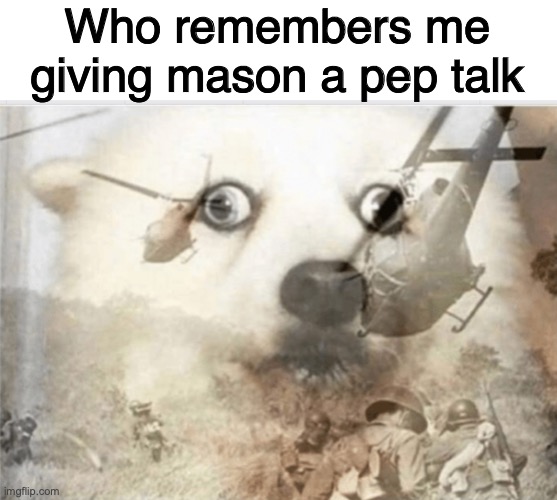 Hard to tell through all those crying emojis | Who remembers me giving mason a pep talk | image tagged in ptsd dog | made w/ Imgflip meme maker