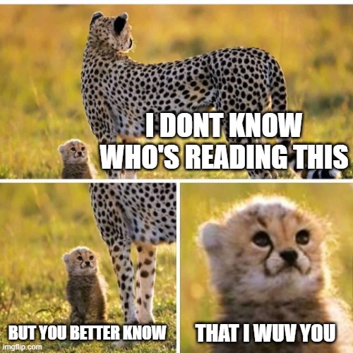 i does :3 | I DONT KNOW WHO'S READING THIS; BUT YOU BETTER KNOW; THAT I WUV YOU | image tagged in smol cheetah,wholesome,i love you | made w/ Imgflip meme maker