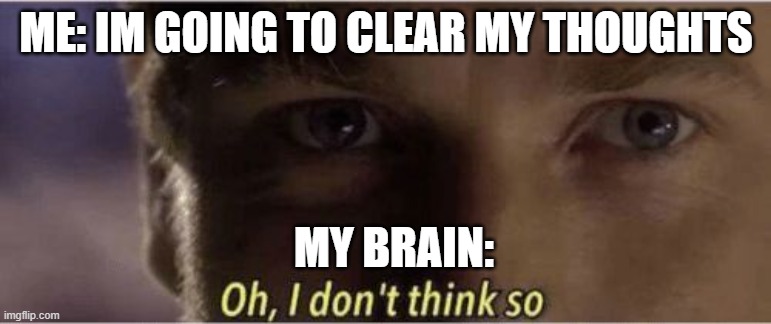 Oh, I dont think so | ME: IM GOING TO CLEAR MY THOUGHTS; MY BRAIN: | image tagged in oh i dont think so | made w/ Imgflip meme maker