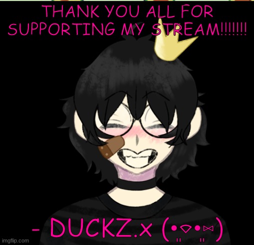 THANK YOU FOR 200+ FOLLOWERS ON MY STREAM ILYSM <3333 | THANK YOU ALL FOR SUPPORTING MY STREAM!!!!!!! - DUCKZ.x (•͈⌔•͈⑅) | image tagged in thank you | made w/ Imgflip meme maker