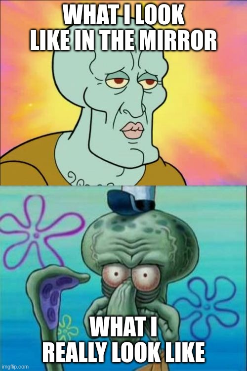 Squidward | WHAT I LOOK LIKE IN THE MIRROR; WHAT I REALLY LOOK LIKE | image tagged in memes,squidward | made w/ Imgflip meme maker