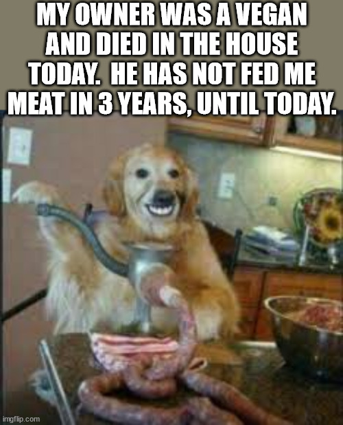 MEAT DOG | MY OWNER WAS A VEGAN AND DIED IN THE HOUSE TODAY.  HE HAS NOT FED ME MEAT IN 3 YEARS, UNTIL TODAY. | image tagged in meat dog,dark humor | made w/ Imgflip meme maker