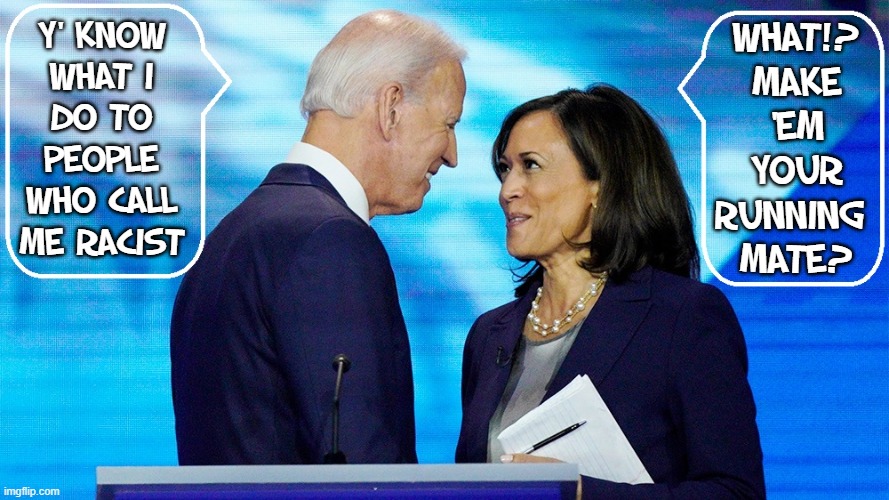 When you have no character & will do anything to win |  Y' KNOW  WHAT I  DO TO  PEOPLE  WHO CALL  ME RACIST; WHAT!?  MAKE  'EM  YOUR  RUNNING   MATE? | image tagged in vince vance,creepy joe biden,kamala harris,racist,corrupt,memes | made w/ Imgflip meme maker