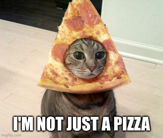 pizza cat | I'M NOT JUST A PIZZA | image tagged in pizza cat | made w/ Imgflip meme maker