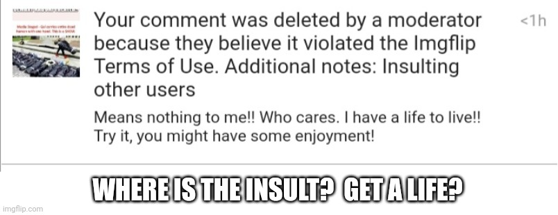 Banned again! | WHERE IS THE INSULT?  GET A LIFE? | image tagged in again | made w/ Imgflip meme maker