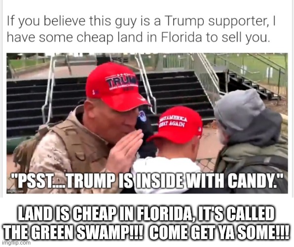 Silly kids have never even been to Florida | LAND IS CHEAP IN FLORIDA, IT'S CALLED THE GREEN SWAMP!!!  COME GET YA SOME!!! | image tagged in trump candy | made w/ Imgflip meme maker