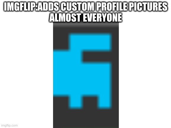 ik they added this a while ago | IMGFLIP:ADDS CUSTOM PROFILE PICTURES
ALMOST EVERYONE | image tagged in blank white template | made w/ Imgflip meme maker