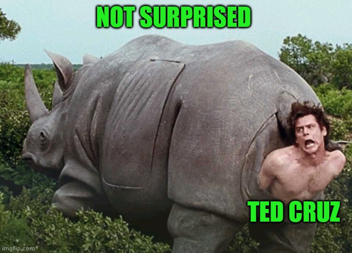 NOT SURPRISED TED CRUZ | made w/ Imgflip meme maker