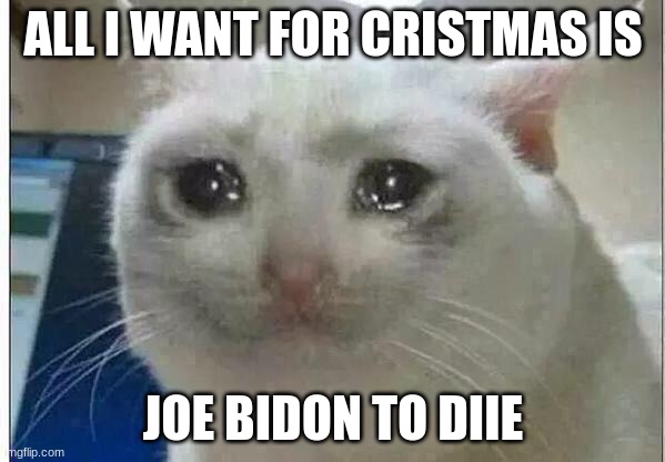 Its not true | ALL I WANT FOR CRISTMAS IS; JOE BIDON TO DIIE | image tagged in crying cat | made w/ Imgflip meme maker