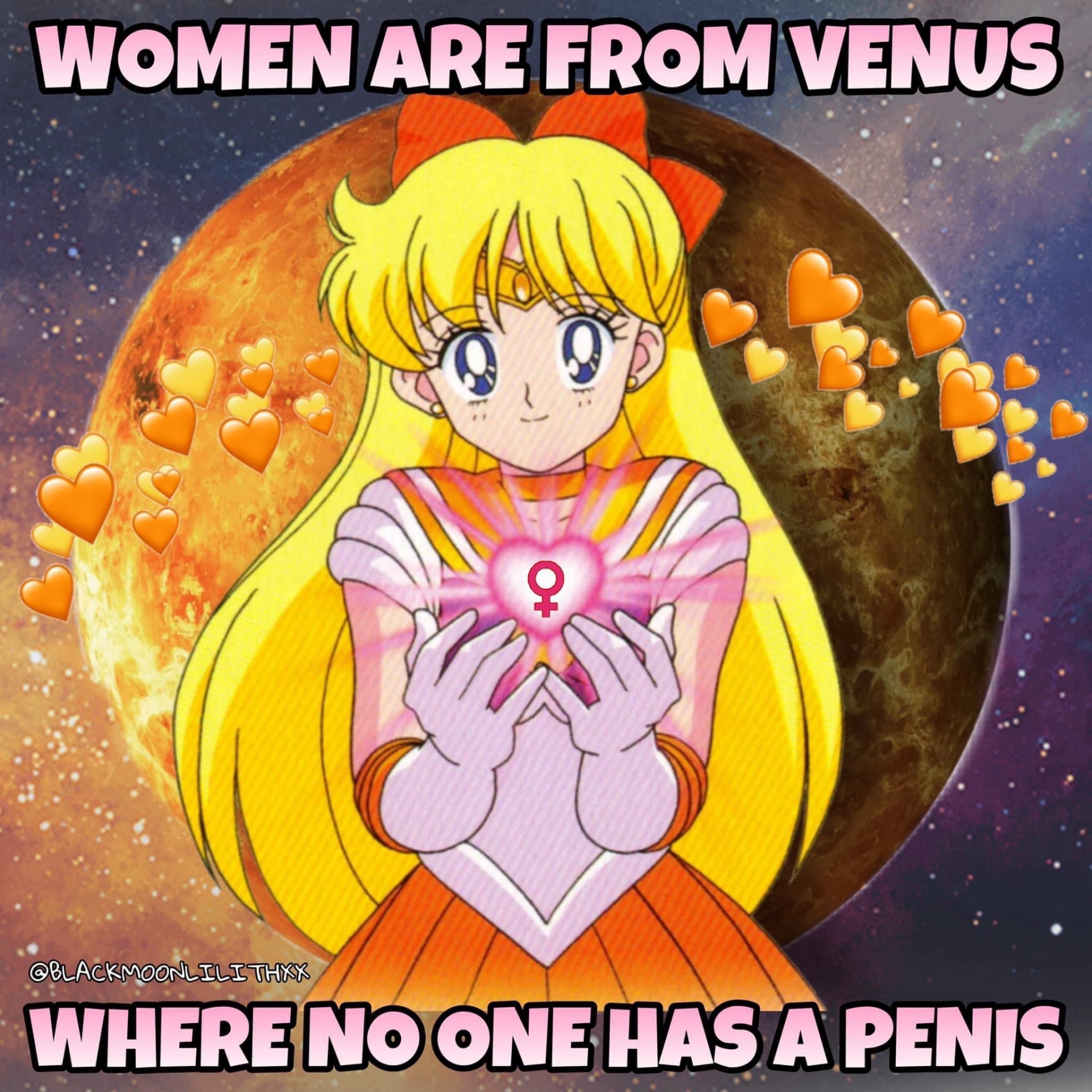 High Quality Women are from Venus Blank Meme Template