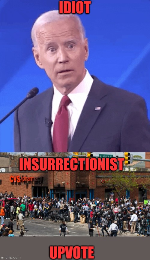 IDIOT UPVOTE INSURRECTIONIST | made w/ Imgflip meme maker