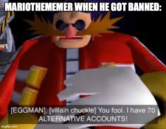 Mods, please insert a funny title | MARIOTHEMEMER WHEN HE GOT BANNED: | image tagged in eggman alternative accounts | made w/ Imgflip meme maker